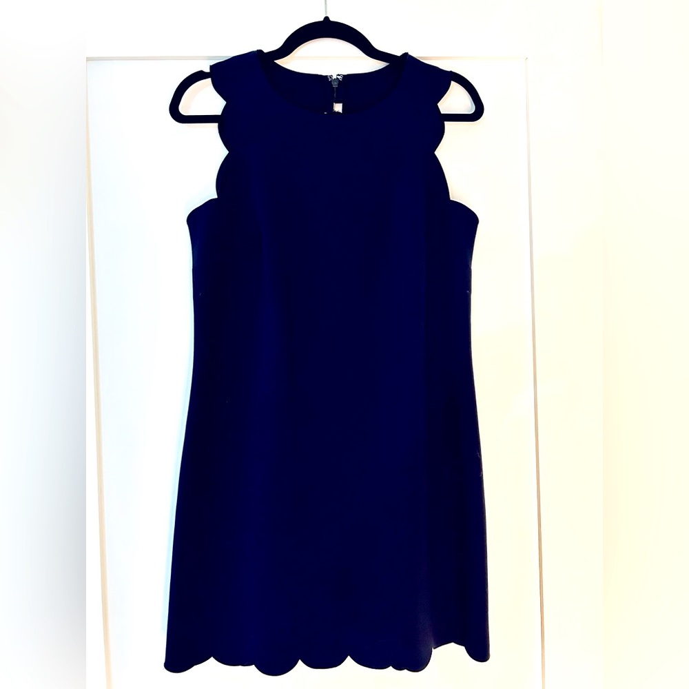 J. Crew mini dress